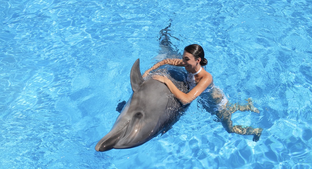 Swim with dolphins Aventura Park